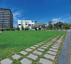 アートパーク並木公園
