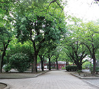 城北公園