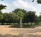 蕨市民公園