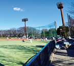 小豆沢公園