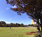 新小岩公園